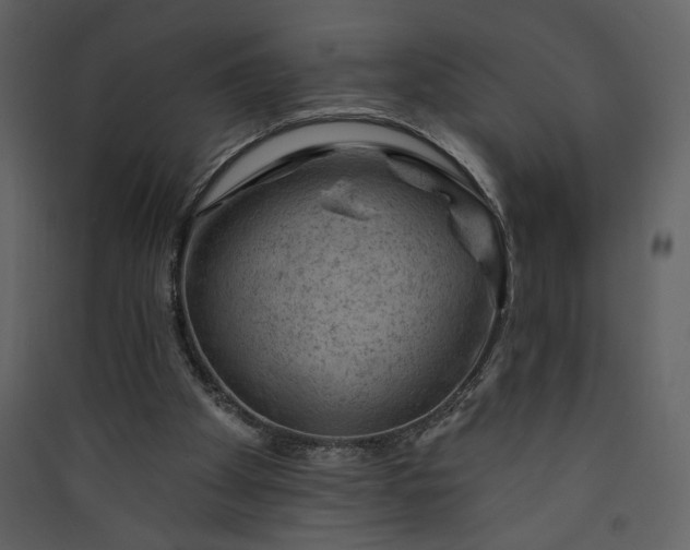 X0000089910105200707131357