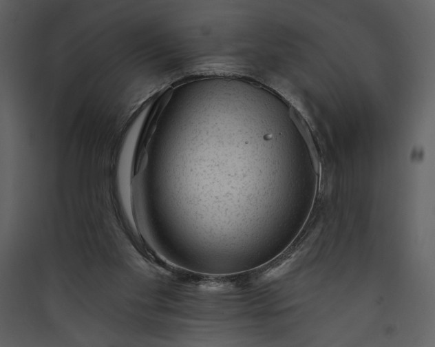 X0000089910109200707131357