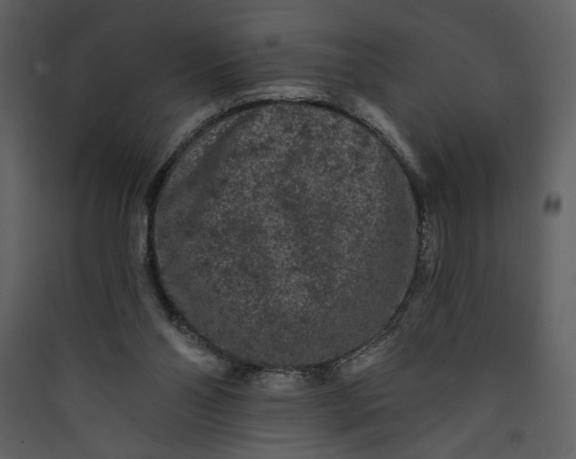 X0000089910110200707131357