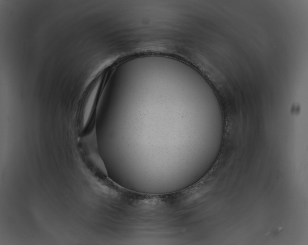 X0000089910112200707131357