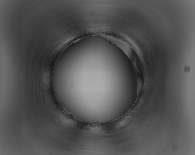 X0000089910113200707131357