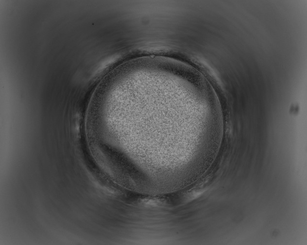 X0000089910115200707131357