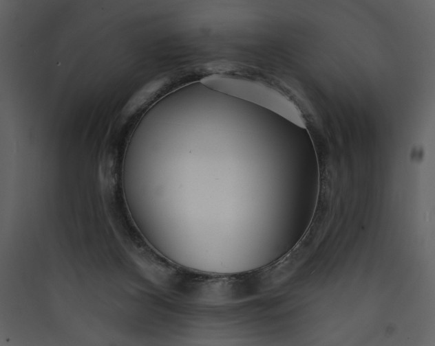 X0000089910116200707131357