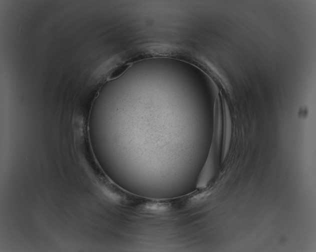 X0000089910117200707131357
