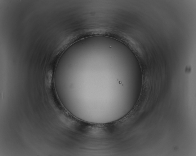 X0000089910118200707131357