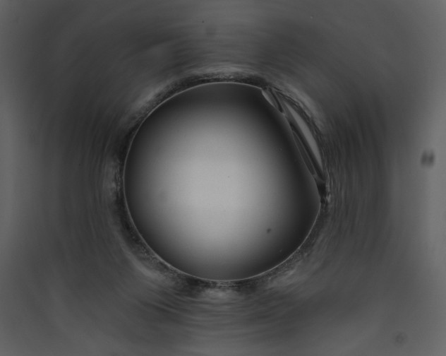 X0000089910119200707131357