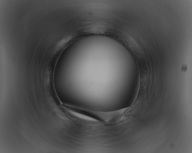 X0000089910120200707131357