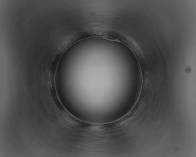 X0000089910121200707131357