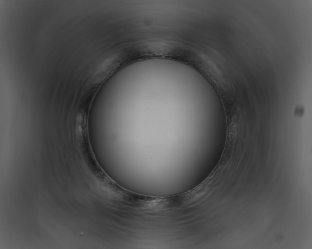 X0000089910122200707131357