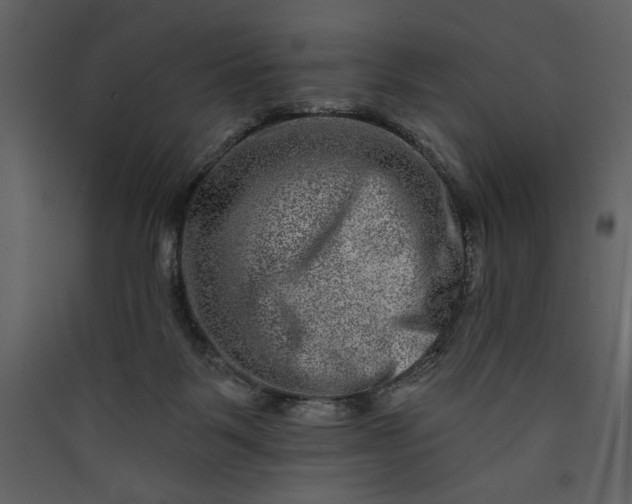 X0000089910123200707131357