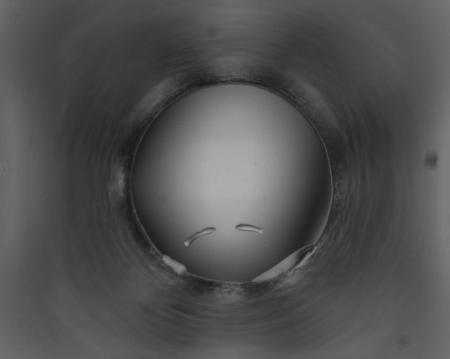 X0000089910124200707131357