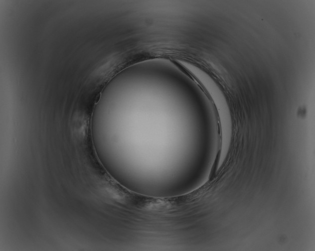 X0000089910125200707131357
