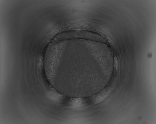 X0000089910127200707131357