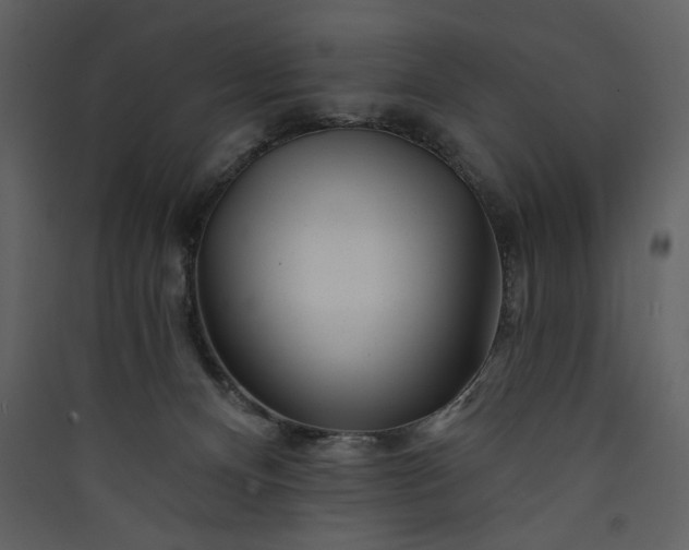 X0000089910128200707131357