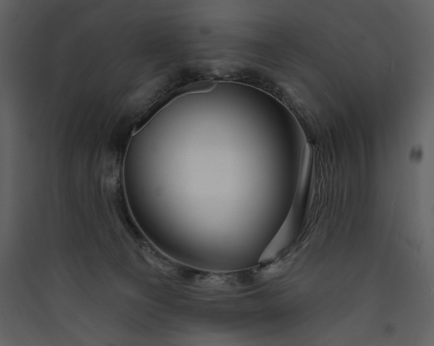X0000089910129200707131357