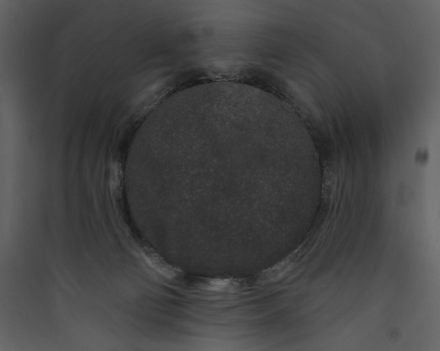 X0000089910130200707131357