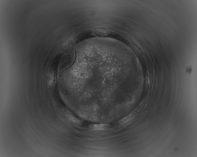 X0000089910134200707131357