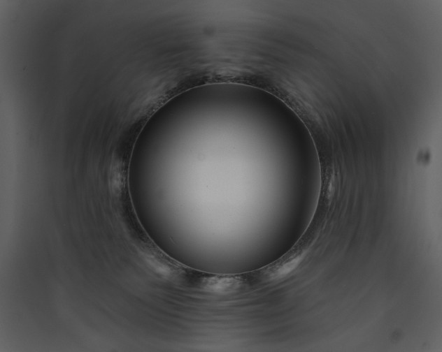 X0000089910135200707131357