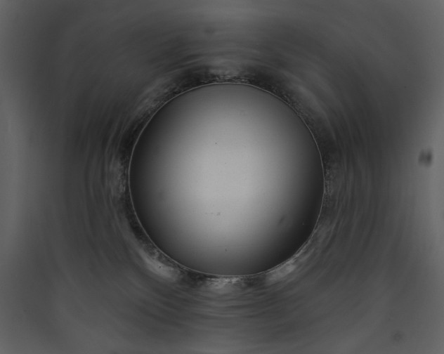 X0000089910136200707131357