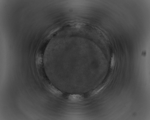X0000089910137200707131357