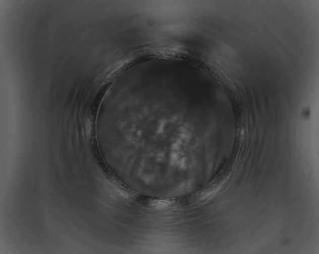 X0000089910139200707131357