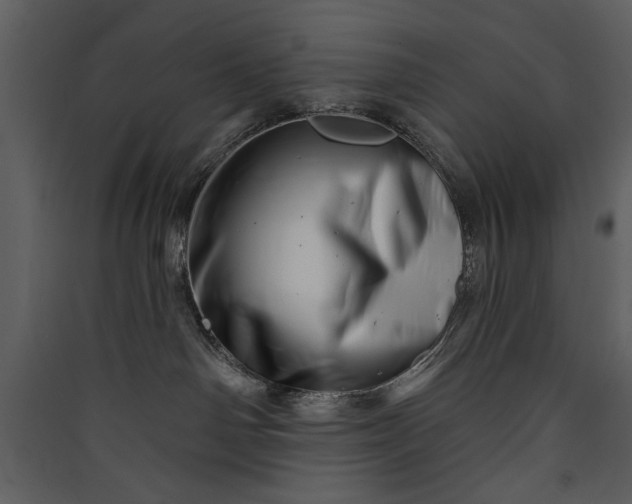 X0000089910142200707131357