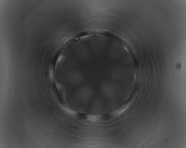 X0000089910143200707131357