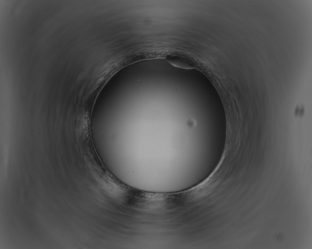 X0000089910144200707131357