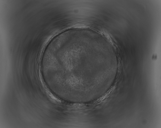 X0000089910145200707131356