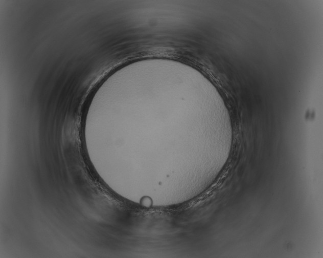 X0000089910146200707131356
