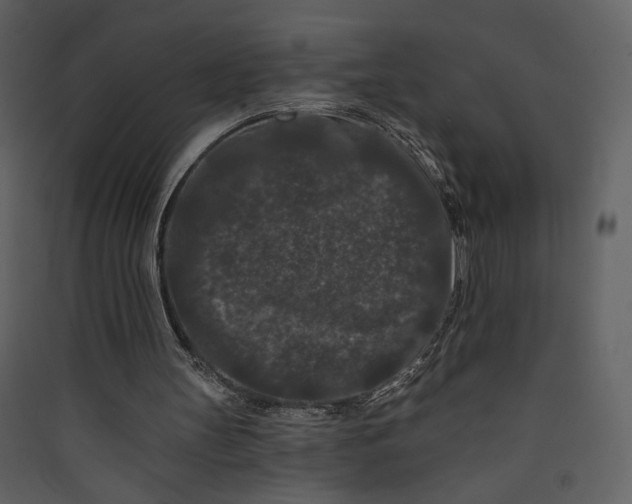 X0000089910147200707131356
