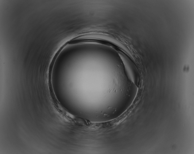 X0000089910148200707131356
