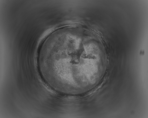 X0000089910149200707131356