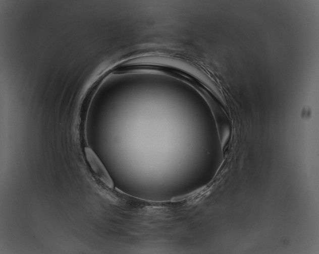 X0000089910150200707131356