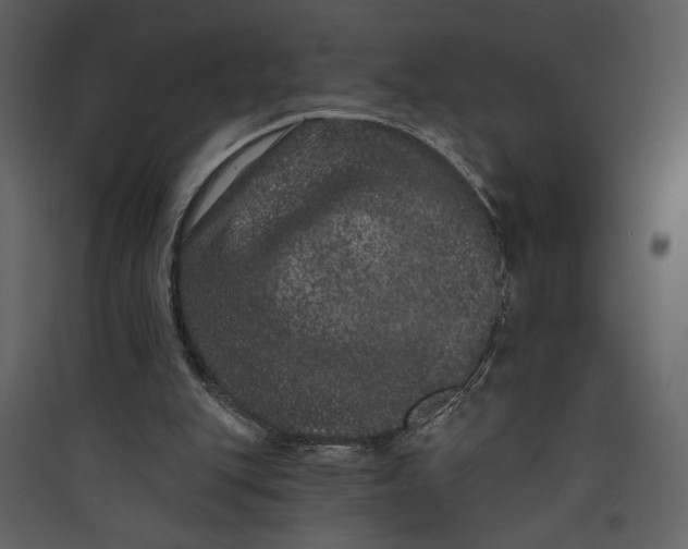 X0000089910151200707131356