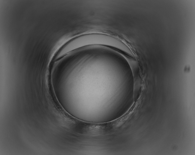 X0000089910152200707131356