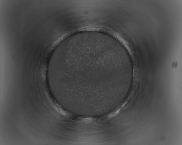 X0000089910153200707131356