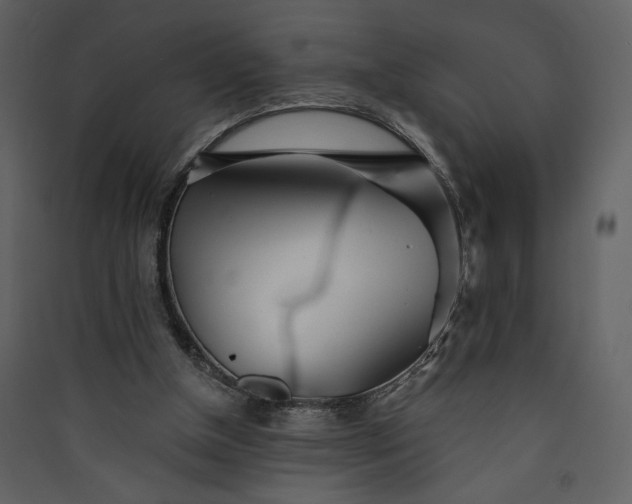 X0000089910154200707131356