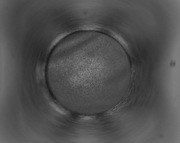 X0000089910155200707131356