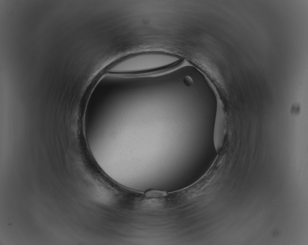 X0000089910156200707131356