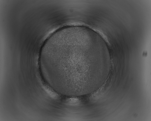 X0000089910159200707131356
