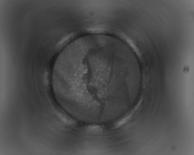 X0000089910161200707131356