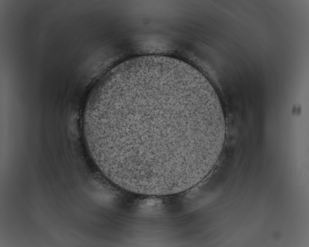 X0000089910162200707131356