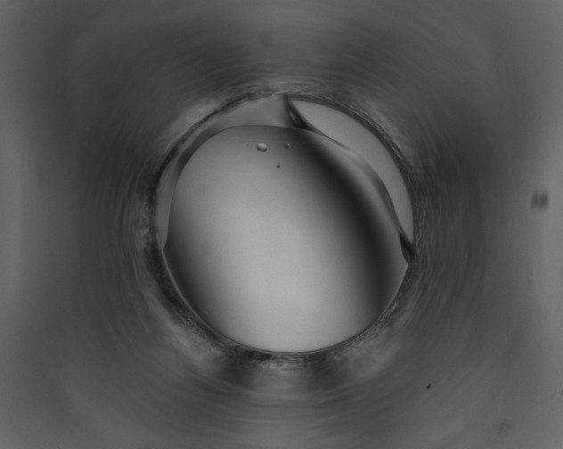 X0000089910164200707131357