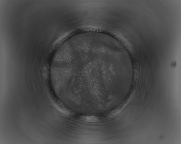 X0000089910165200707131357