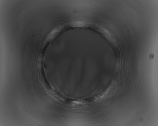 X0000089910167200707131357