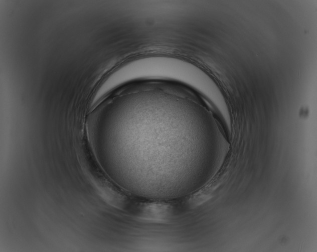 X0000089910168200707131357