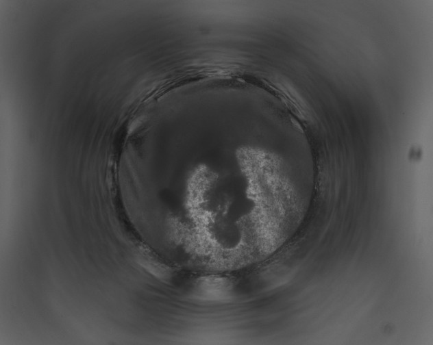 X0000089910169200707131357