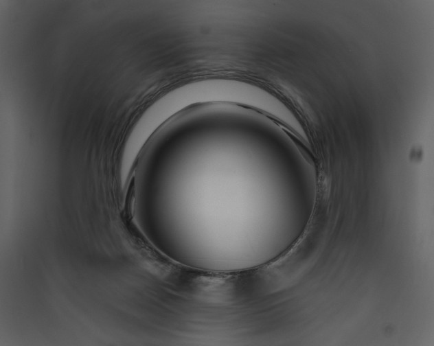 X0000089910170200707131357