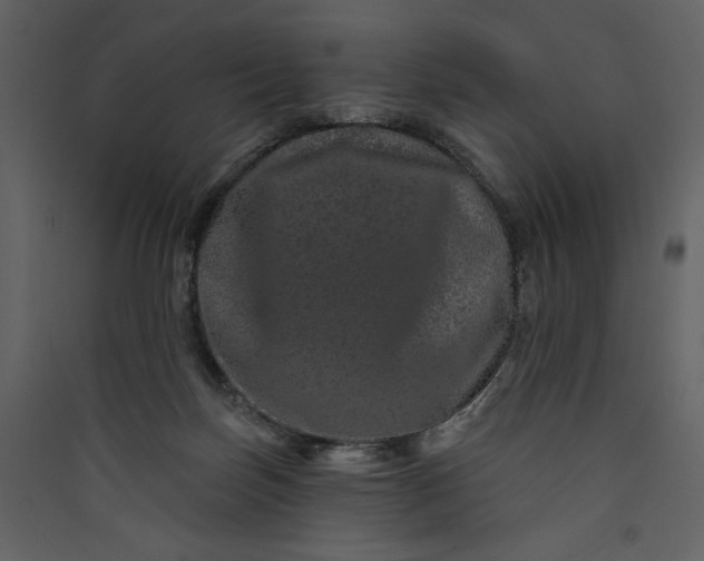 X0000089910171200707131357